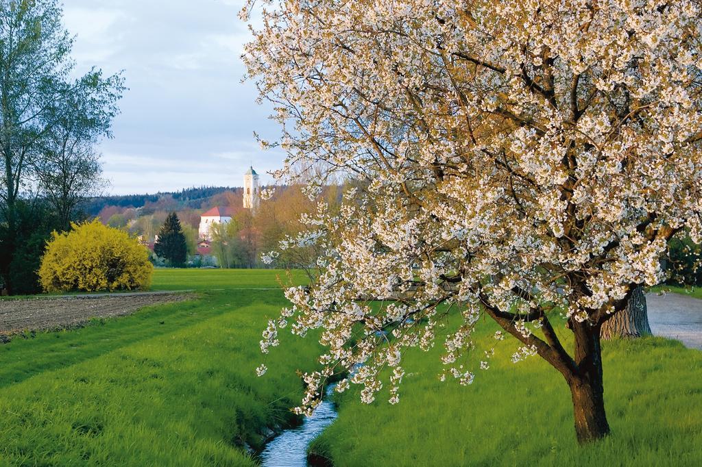Hotel Sonnenhof 4*